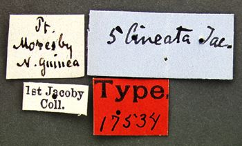 Media type: image; Entomology 17534   Aspect: labels